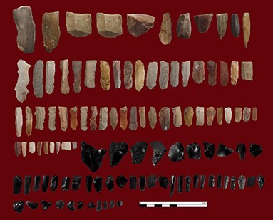 Figure 5. Chipped-stone artefacts of Bar-e Palang.